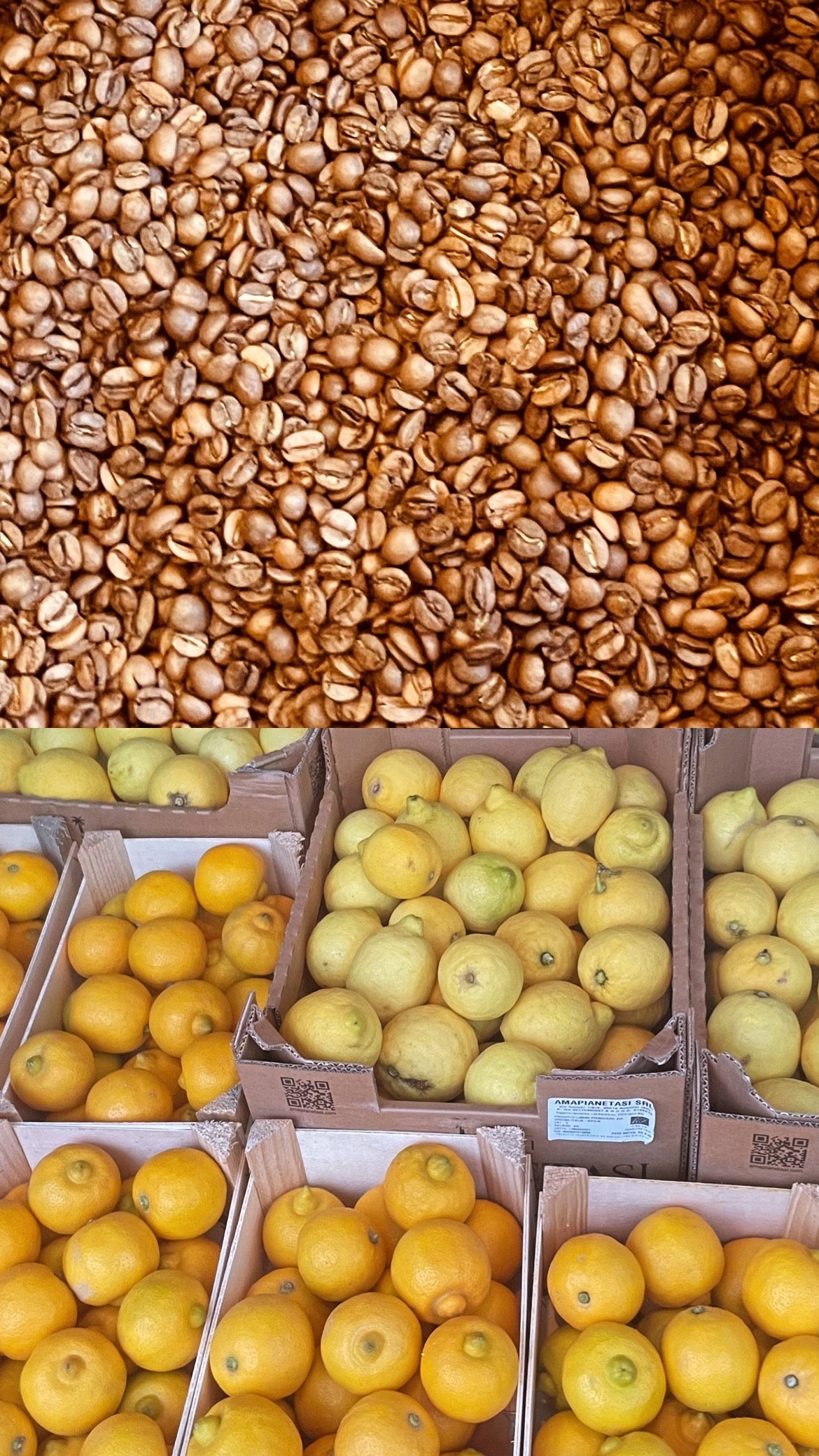 Drei neue Klassiker für den Frühling – unsere neuesten Likörkreationen