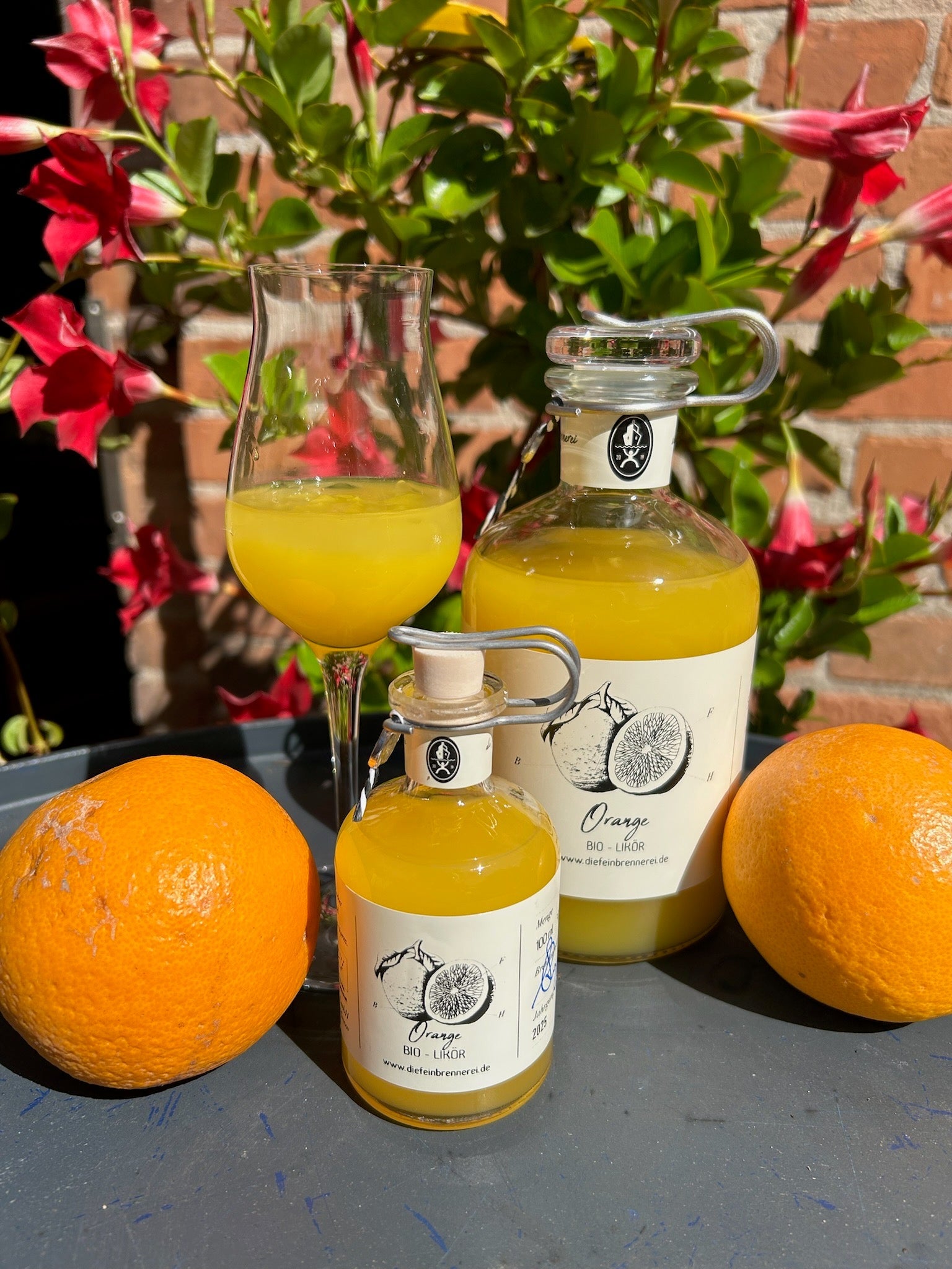 Sonnengruß im Glas – unser neuer Orangenlikör